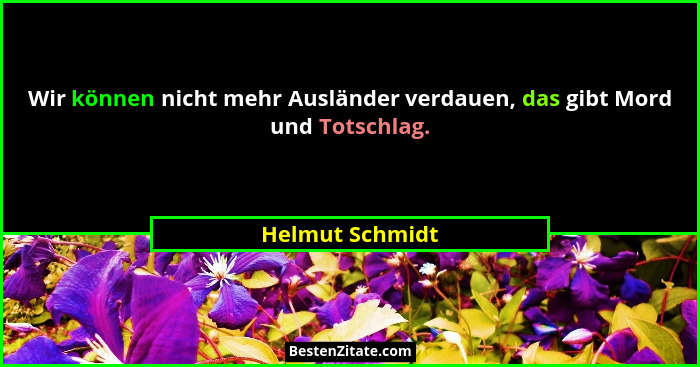 Wir können nicht mehr Ausländer verdauen, das gibt Mord und Totschlag.... - Helmut Schmidt