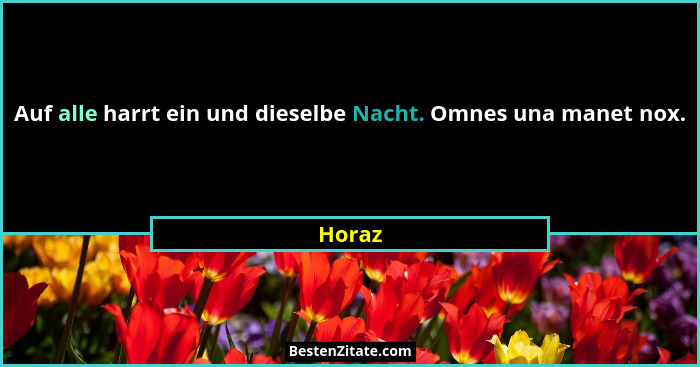 Auf alle harrt ein und dieselbe Nacht. Omnes una manet nox.... - Horaz