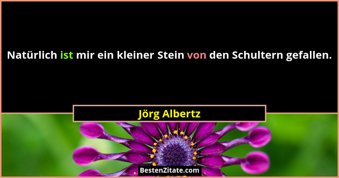Natürlich ist mir ein kleiner Stein von den Schultern gefallen.... - Jörg Albertz