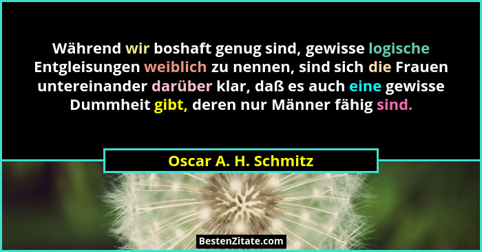 Während wir boshaft genug sind, gewisse logische Entgleisungen weiblich zu nennen, sind sich die Frauen untereinander darüber kl... - Oscar A. H. Schmitz