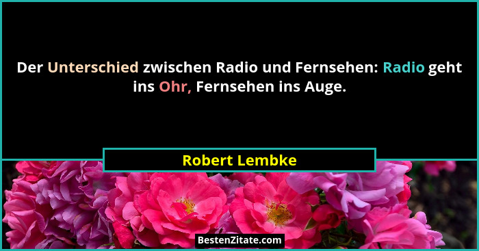 Der Unterschied zwischen Radio und Fernsehen: Radio geht ins Ohr, Fernsehen ins Auge.... - Robert Lembke