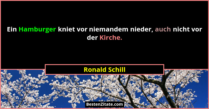 Ein Hamburger kniet vor niemandem nieder, auch nicht vor der Kirche.... - Ronald Schill