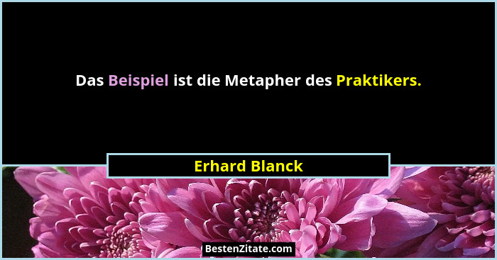 Das Beispiel ist die Metapher des Praktikers.... - Erhard Blanck