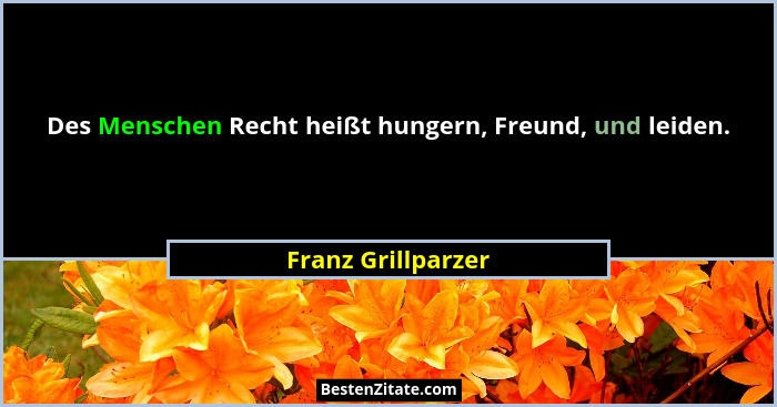 Des Menschen Recht heißt hungern, Freund, und leiden.... - Franz Grillparzer