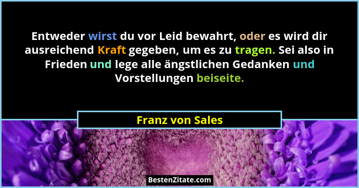 Entweder wirst du vor Leid bewahrt, oder es wird dir ausreichend Kraft gegeben, um es zu tragen. Sei also in Frieden und lege alle ä... - Franz von Sales