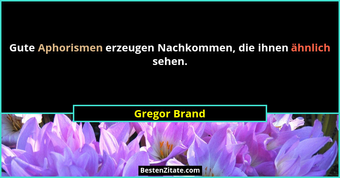Gute Aphorismen erzeugen Nachkommen, die ihnen ähnlich sehen.... - Gregor Brand
