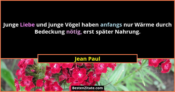 Junge Liebe und junge Vögel haben anfangs nur Wärme durch Bedeckung nötig, erst später Nahrung.... - Jean Paul