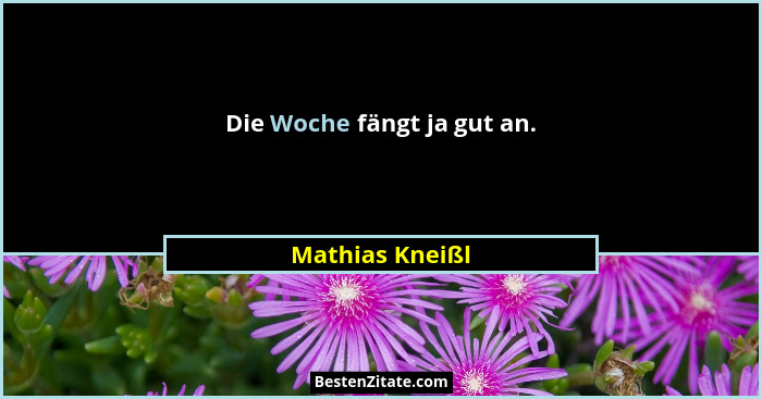 Die Woche fängt ja gut an.... - Mathias Kneißl