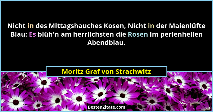 Nicht in des Mittagshauches Kosen, Nicht in der Maienlüfte Blau: Es blüh'n am herrlichsten die Rosen Im perlenhellen... - Moritz Graf von Strachwitz