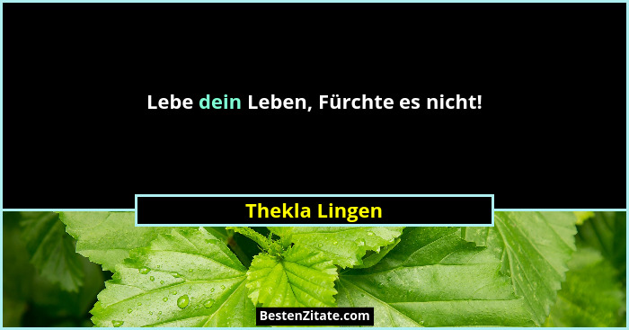 Lebe dein Leben, Fürchte es nicht!... - Thekla Lingen
