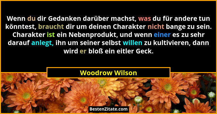 Wenn du dir Gedanken darüber machst, was du für andere tun könntest, braucht dir um deinen Charakter nicht bange zu sein. Charakter i... - Woodrow Wilson