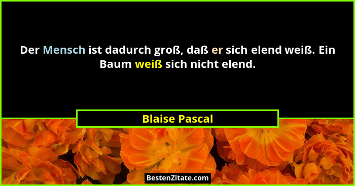 Der Mensch ist dadurch groß, daß er sich elend weiß. Ein Baum weiß sich nicht elend.... - Blaise Pascal