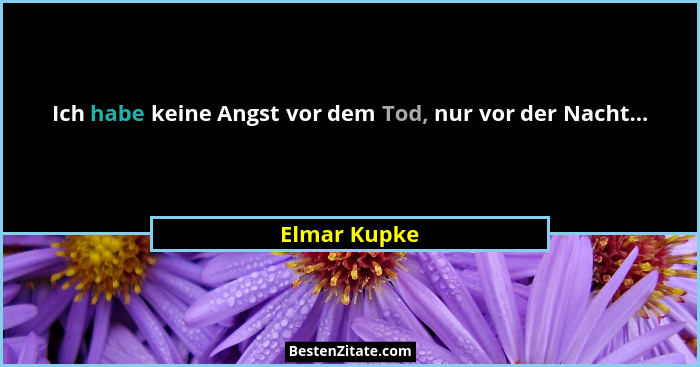 Ich habe keine Angst vor dem Tod, nur vor der Nacht...... - Elmar Kupke