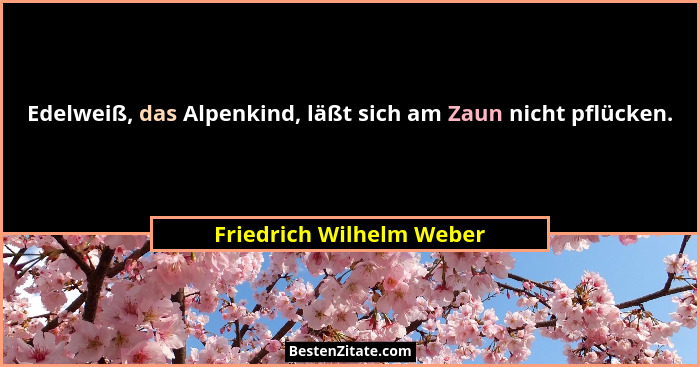 Edelweiß, das Alpenkind, läßt sich am Zaun nicht pflücken.... - Friedrich Wilhelm Weber
