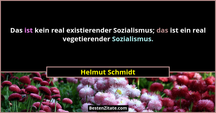 Das ist kein real existierender Sozialismus; das ist ein real vegetierender Sozialismus.... - Helmut Schmidt