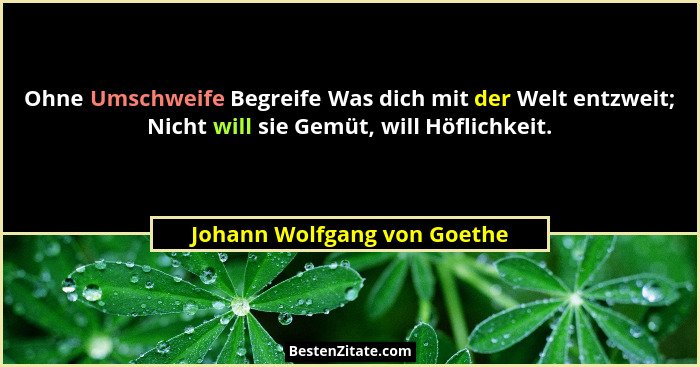 Ohne Umschweife Begreife Was dich mit der Welt entzweit; Nicht will sie Gemüt, will Höflichkeit.... - Johann Wolfgang von Goethe