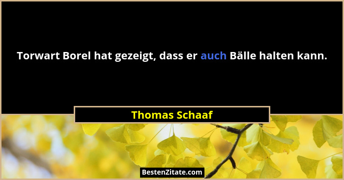 Torwart Borel hat gezeigt, dass er auch Bälle halten kann.... - Thomas Schaaf
