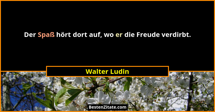 Der Spaß hört dort auf, wo er die Freude verdirbt.... - Walter Ludin
