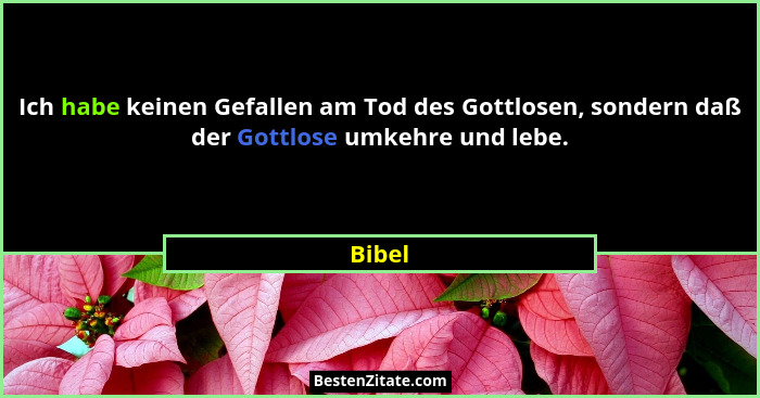 Ich habe keinen Gefallen am Tod des Gottlosen, sondern daß der Gottlose umkehre und lebe.... - Bibel