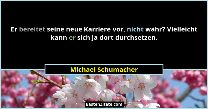 Er bereitet seine neue Karriere vor, nicht wahr? Vielleicht kann er sich ja dort durchsetzen.... - Michael Schumacher