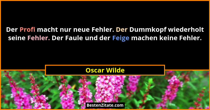 Der Profi macht nur neue Fehler. Der Dummkopf wiederholt seine Fehler. Der Faule und der Feige machen keine Fehler.... - Oscar Wilde