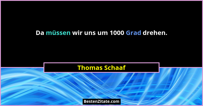Da müssen wir uns um 1000 Grad drehen.... - Thomas Schaaf