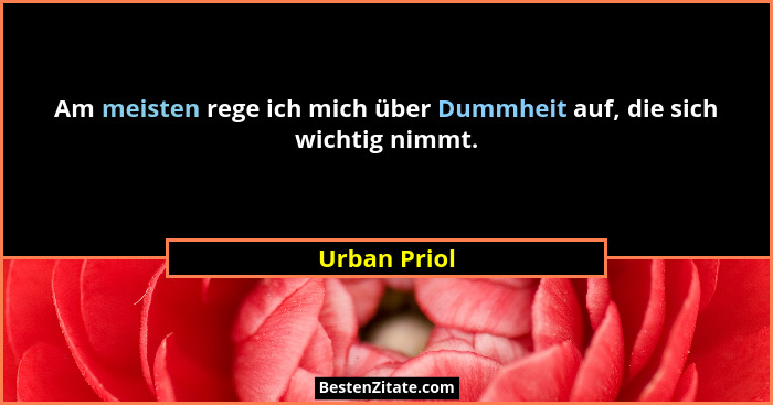 Am meisten rege ich mich über Dummheit auf, die sich wichtig nimmt.... - Urban Priol