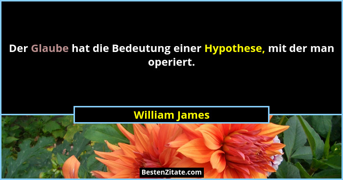 Der Glaube hat die Bedeutung einer Hypothese, mit der man operiert.... - William James