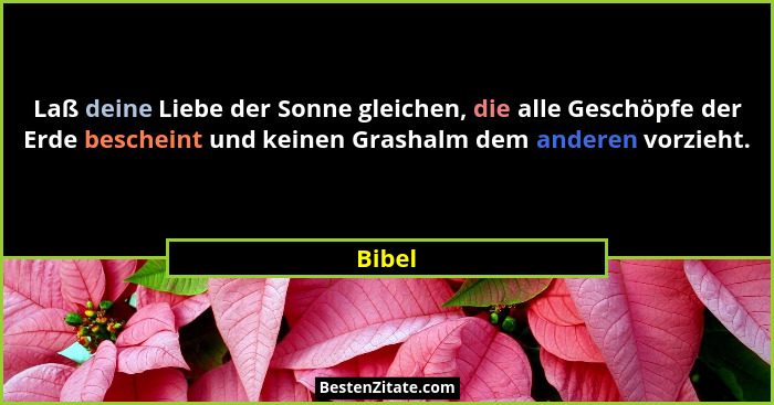 Laß deine Liebe der Sonne gleichen, die alle Geschöpfe der Erde bescheint und keinen Grashalm dem anderen vorzieht.... - Bibel