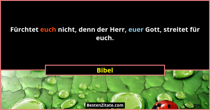 Fürchtet euch nicht, denn der Herr, euer Gott, streitet für euch.... - Bibel