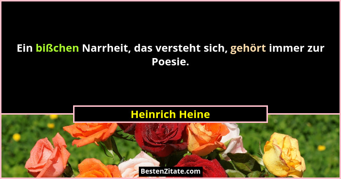 Ein bißchen Narrheit, das versteht sich, gehört immer zur Poesie.... - Heinrich Heine