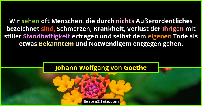 Wir sehen oft Menschen, die durch nichts Außerordentliches bezeichnet sind, Schmerzen, Krankheit, Verlust der Ihrigen mit... - Johann Wolfgang von Goethe