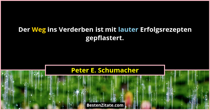 Der Weg ins Verderben ist mit lauter Erfolgsrezepten gepflastert.... - Peter E. Schumacher