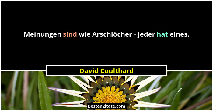 Meinungen sind wie Arschlöcher - jeder hat eines.... - David Coulthard