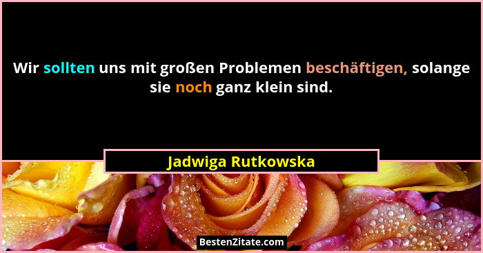 Wir sollten uns mit großen Problemen beschäftigen, solange sie noch ganz klein sind.... - Jadwiga Rutkowska