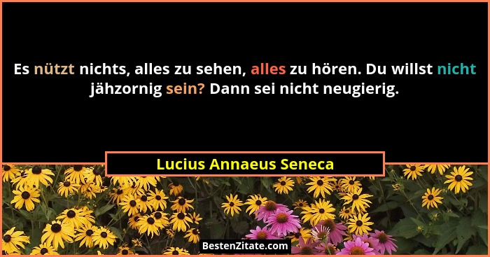 Es nützt nichts, alles zu sehen, alles zu hören. Du willst nicht jähzornig sein? Dann sei nicht neugierig.... - Lucius Annaeus Seneca