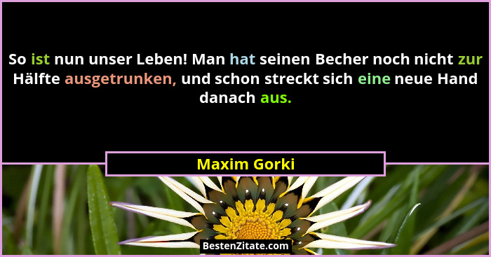 So ist nun unser Leben! Man hat seinen Becher noch nicht zur Hälfte ausgetrunken, und schon streckt sich eine neue Hand danach aus.... - Maxim Gorki