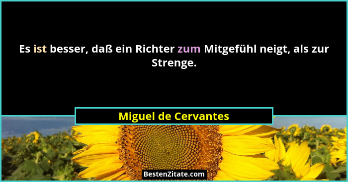 Es ist besser, daß ein Richter zum Mitgefühl neigt, als zur Strenge.... - Miguel de Cervantes