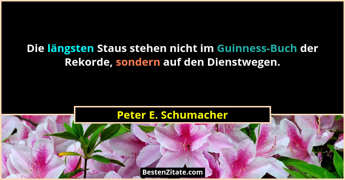 Die längsten Staus stehen nicht im Guinness-Buch der Rekorde, sondern auf den Dienstwegen.... - Peter E. Schumacher