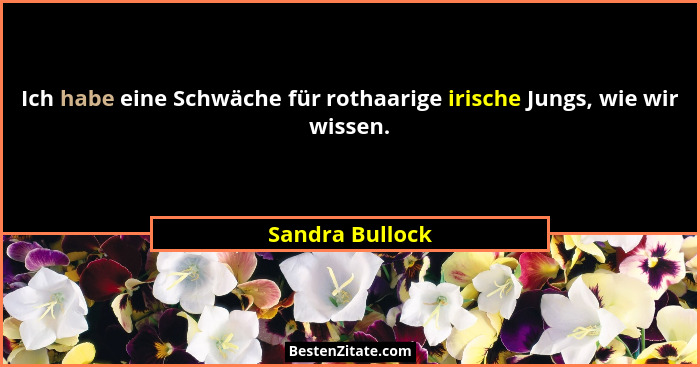 Ich habe eine Schwäche für rothaarige irische Jungs, wie wir wissen.... - Sandra Bullock