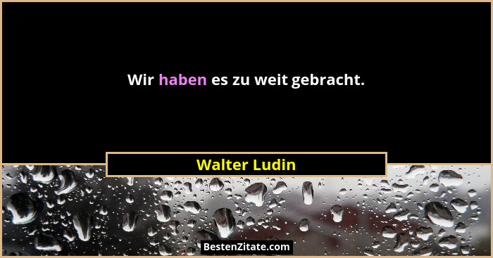 Wir haben es zu weit gebracht.... - Walter Ludin