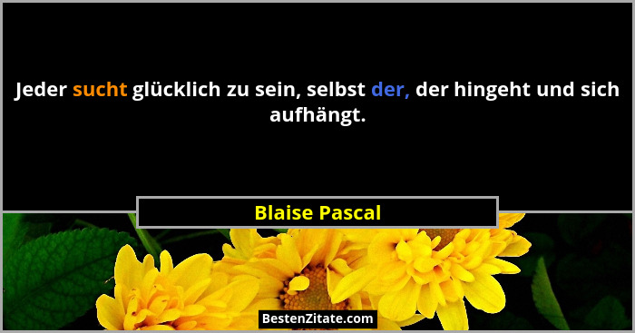 Jeder sucht glücklich zu sein, selbst der, der hingeht und sich aufhängt.... - Blaise Pascal