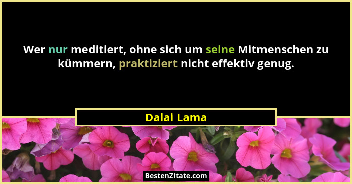 Wer nur meditiert, ohne sich um seine Mitmenschen zu kümmern, praktiziert nicht effektiv genug.... - Dalai Lama