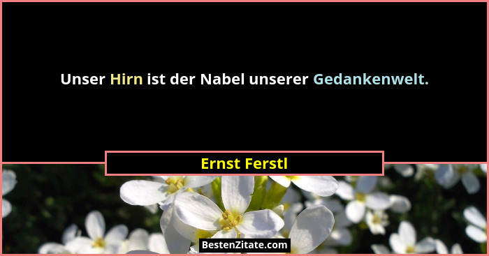 Unser Hirn ist der Nabel unserer Gedankenwelt.... - Ernst Ferstl