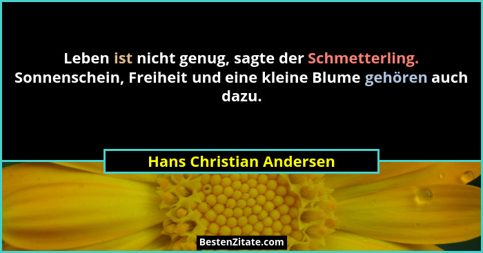 Leben ist nicht genug, sagte der Schmetterling. Sonnenschein, Freiheit und eine kleine Blume gehören auch dazu.... - Hans Christian Andersen