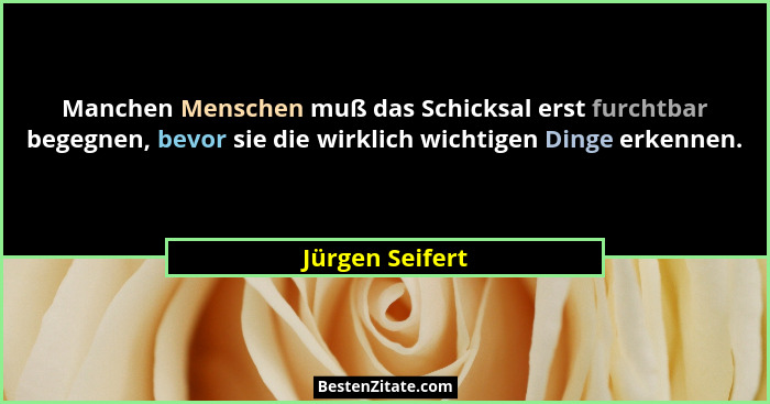 Manchen Menschen muß das Schicksal erst furchtbar begegnen, bevor sie die wirklich wichtigen Dinge erkennen.... - Jürgen Seifert