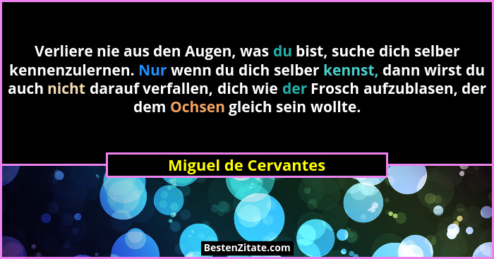 Verliere nie aus den Augen, was du bist, suche dich selber kennenzulernen. Nur wenn du dich selber kennst, dann wirst du auch ni... - Miguel de Cervantes
