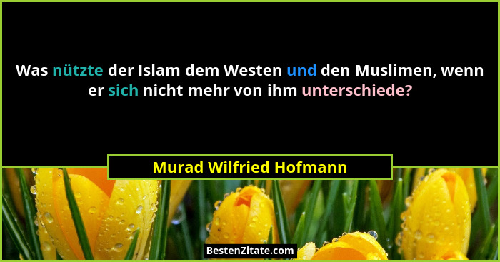 Was nützte der Islam dem Westen und den Muslimen, wenn er sich nicht mehr von ihm unterschiede?... - Murad Wilfried Hofmann