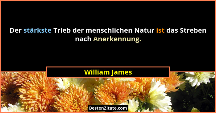 Der stärkste Trieb der menschlichen Natur ist das Streben nach Anerkennung.... - William James