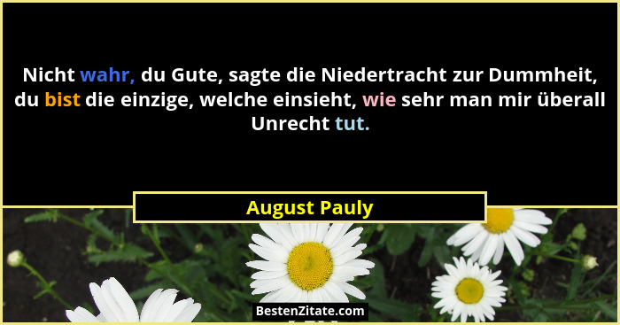 Nicht wahr, du Gute, sagte die Niedertracht zur Dummheit, du bist die einzige, welche einsieht, wie sehr man mir überall Unrecht tut.... - August Pauly